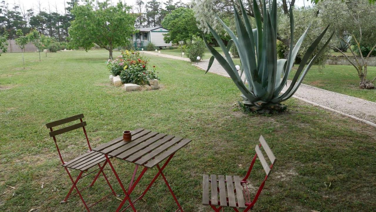 Ferienwohnung Mas Maurane - Le Bougainvillier Aux Portes D'Arles Tarascon Exterior foto